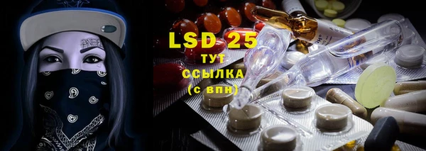 стаф Верея