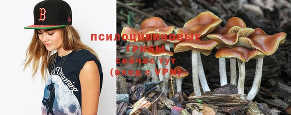 мет Сясьстрой